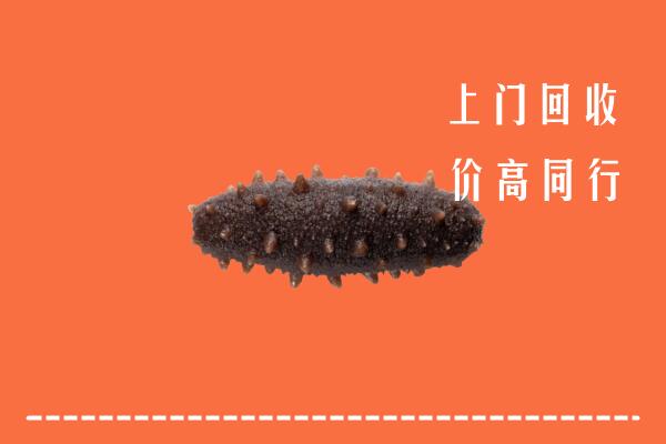 高价求购：牟平区回收海参
